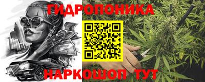тгк Пенза