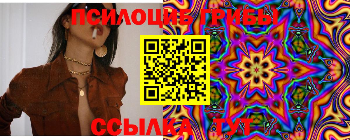 Галлюциногенные грибы Cubensis Соликамск