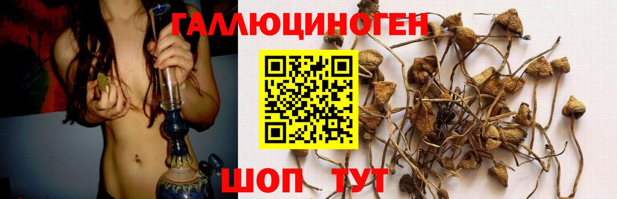 Галлюциногенные грибы мицелий  Вход с VPN  Псилоцибиновые грибы Psilocybe  как найти закладки  Соликамск 